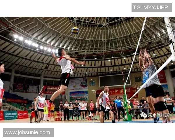 王磊揭秘排球技巧与欧冠足球战术的完美结合之道