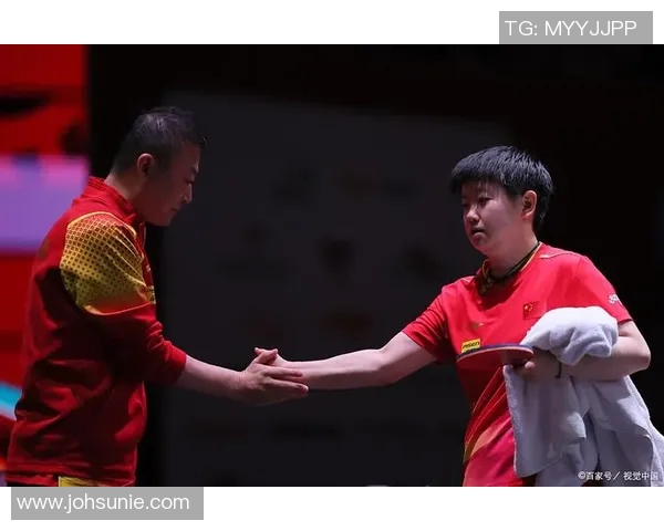 乒乓球巨献揭秘广州乒乓球队的训练节奏与竞技魅力 乒乓球巨献揭秘广州乒乓球队的训练节奏与竞技魅力