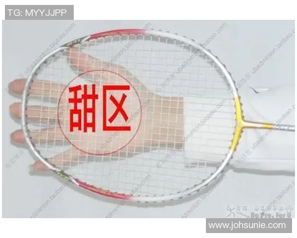 体育实时数据羽毛球战术解析杭州羽毛球队包夹体系的优势与应用探讨