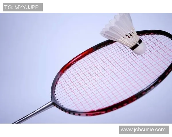 运动最新数据深入分析成都羽毛球队的控制打法及其战术优势与应用